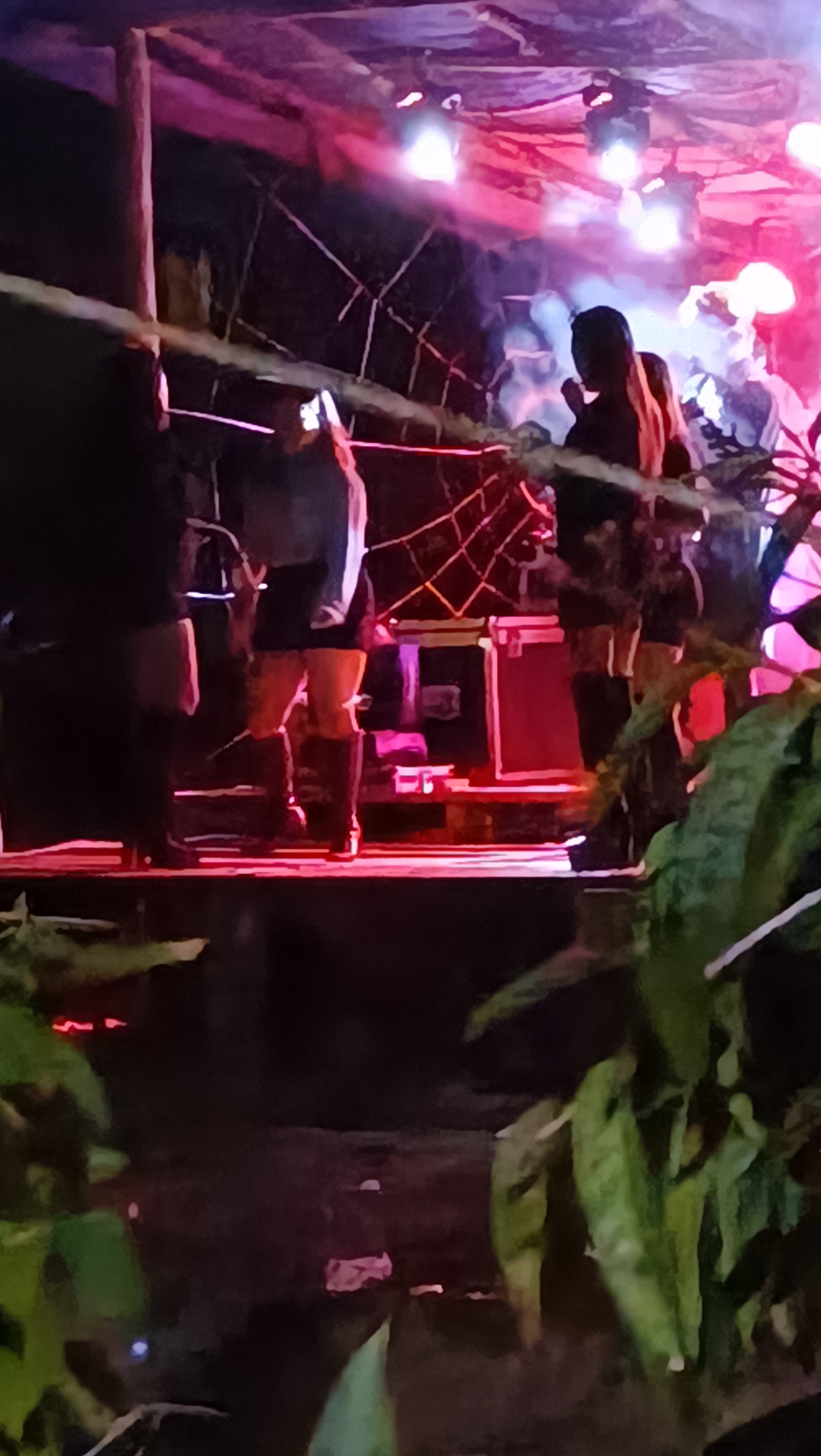 Trandisi yang tak sepantasnya